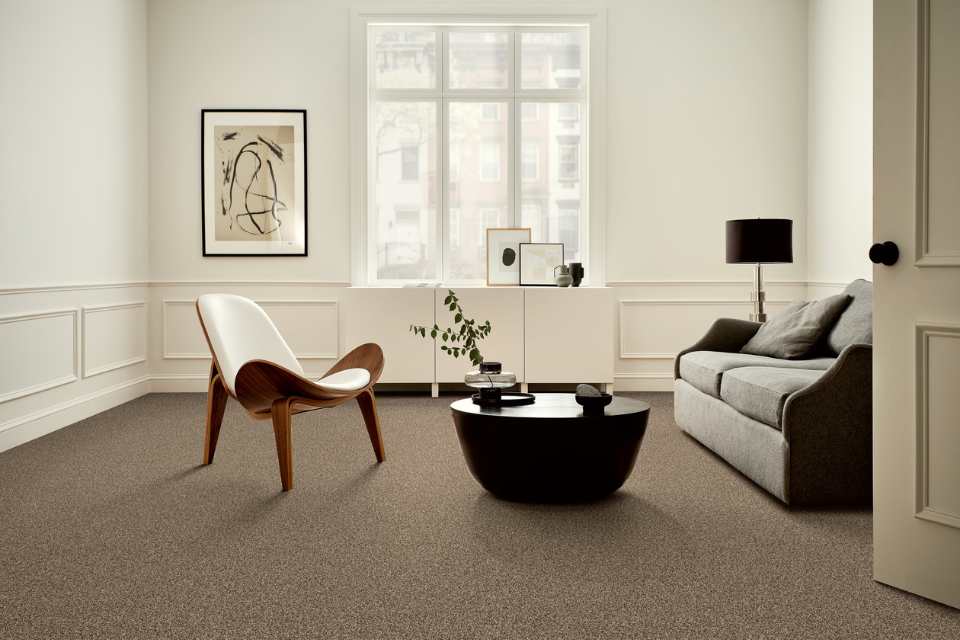 plush beige carpet in modern living room with fresh greenery and artwork